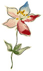 花纹