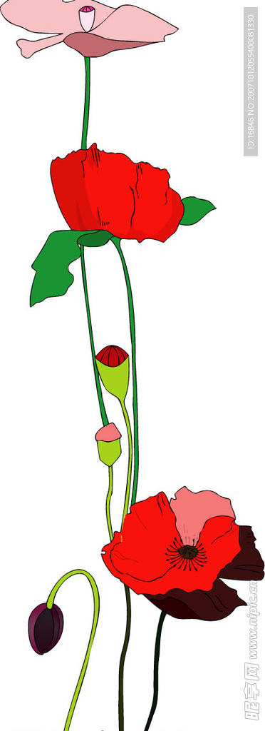 花纹