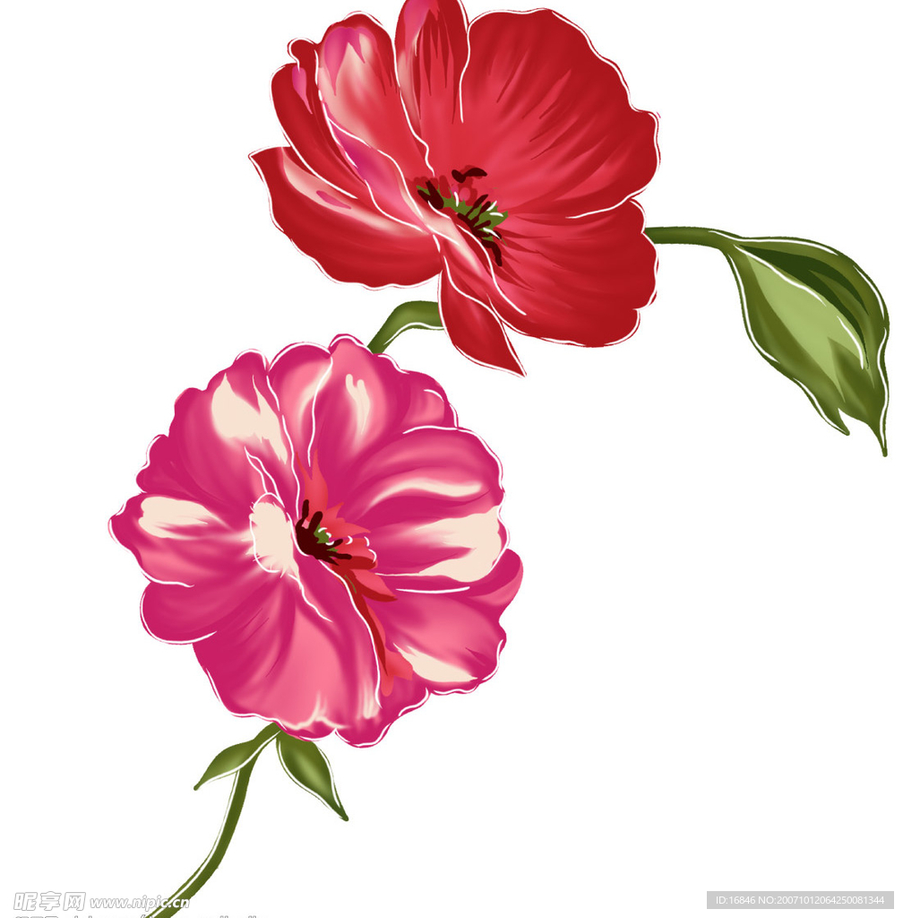 花纹