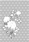 日本线描植物和花卉