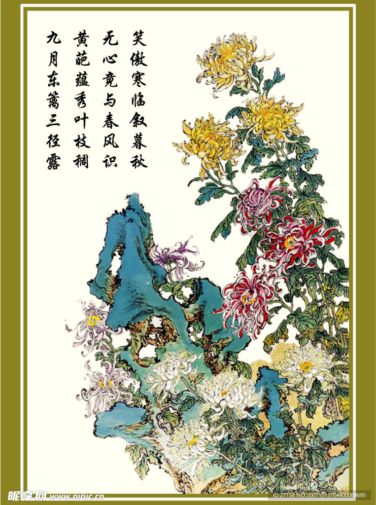 菊花