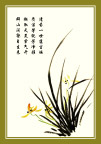 兰花