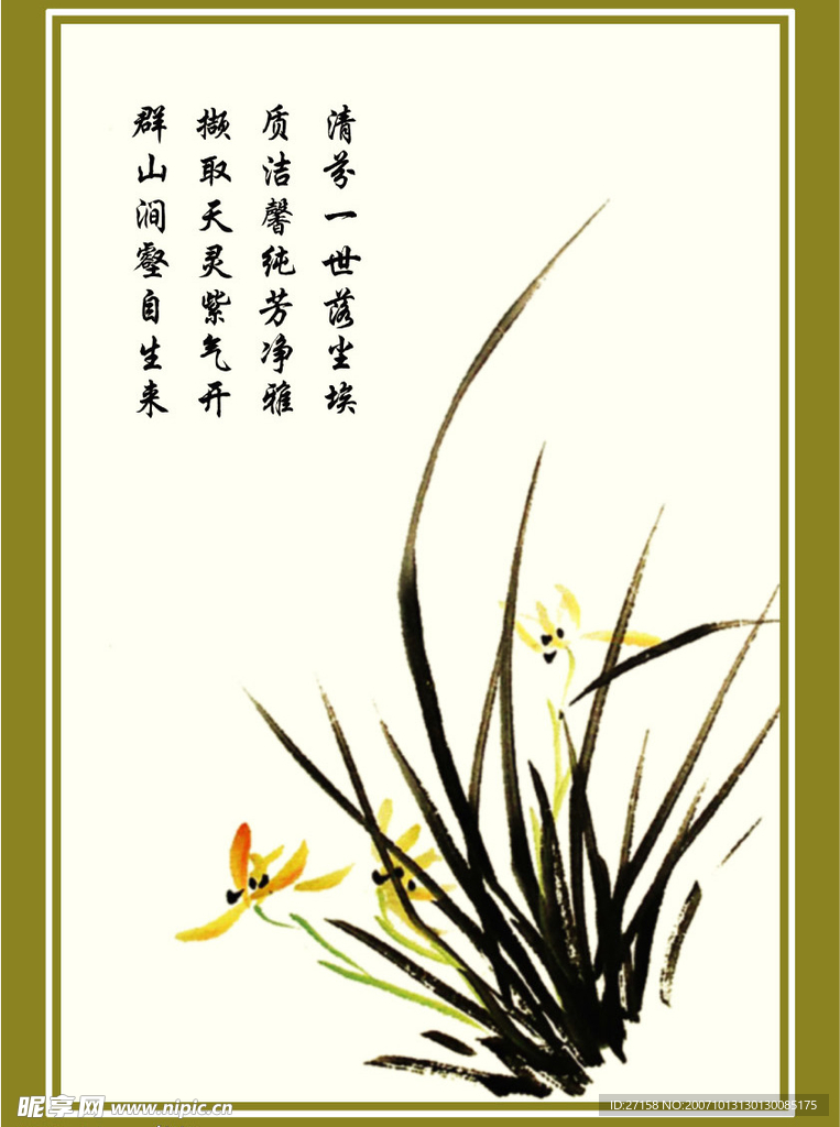 兰花