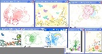 韩国花纹