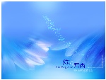 ps婚纱模板