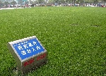 中国建设部要求推进节约型城市园林绿化建设