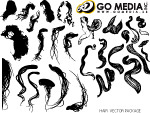 Go Media出品