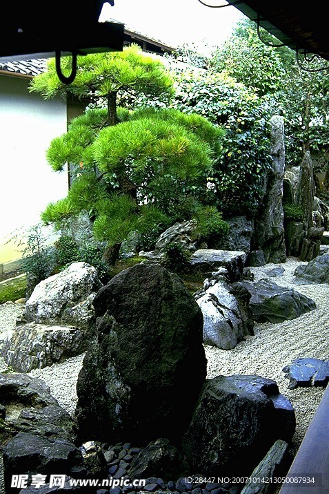 石头
