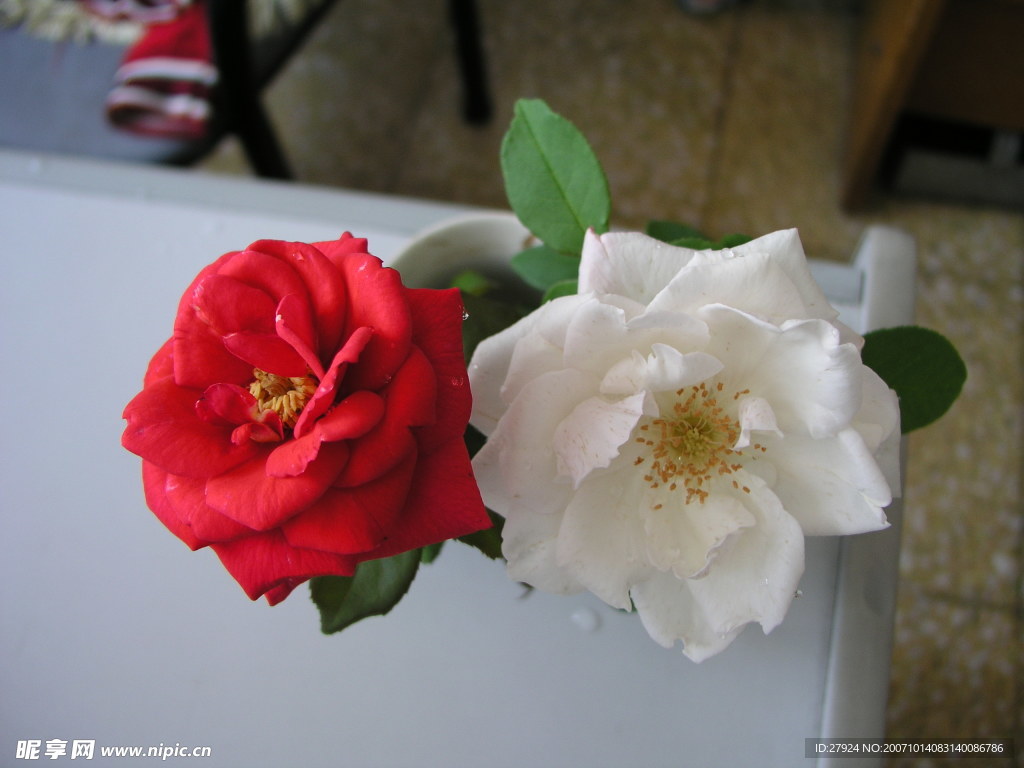鲜花