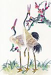 吉祥鸟