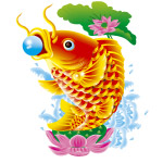 鱼