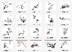 水墨梅兰菊竹矢量