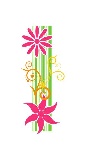 直条花