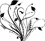 花纹