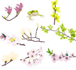 矢量花卉
