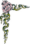 彩色花纹