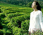 深呼吸1