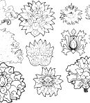 花纹3