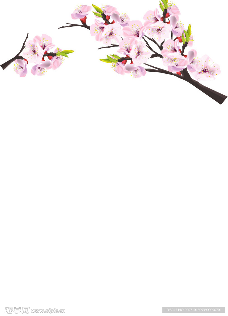 矢量桃花