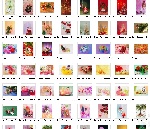 71张 圣诞图片素材 706*1000