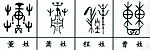 100个中文姓氏的图腾