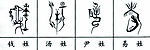 100个中文姓氏的图腾