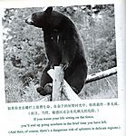 熊熊