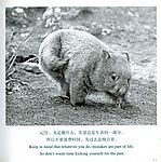 熊熊