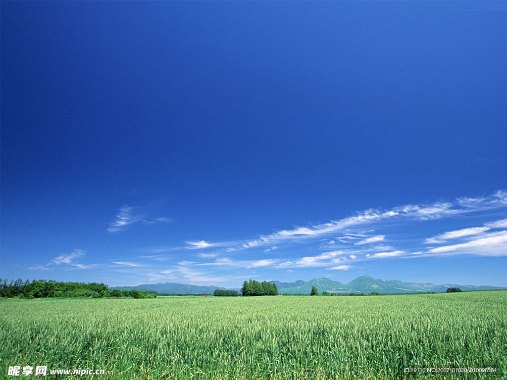 风景