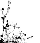 花纹