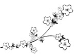 花纹