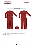 国内自主品牌汽车全套VI