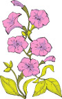 花