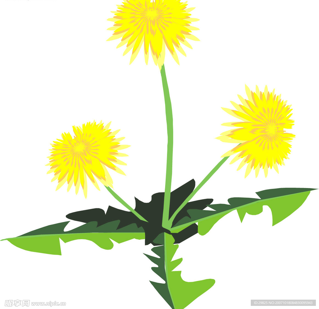花
