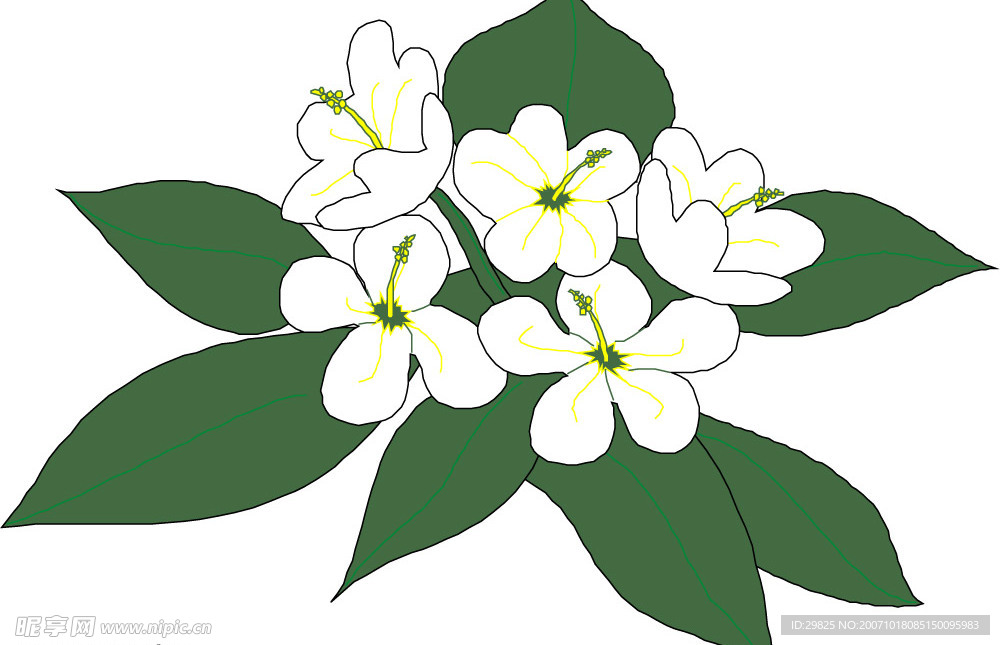 花