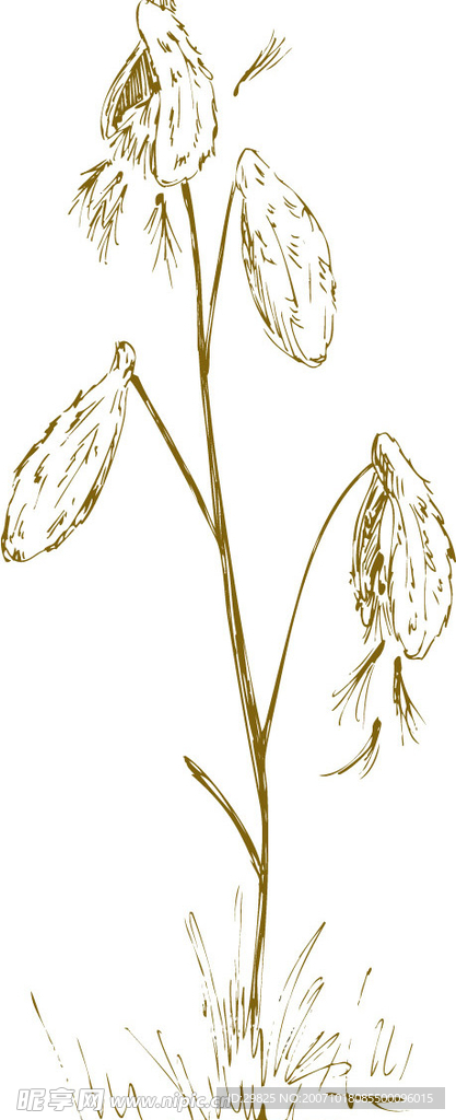 花