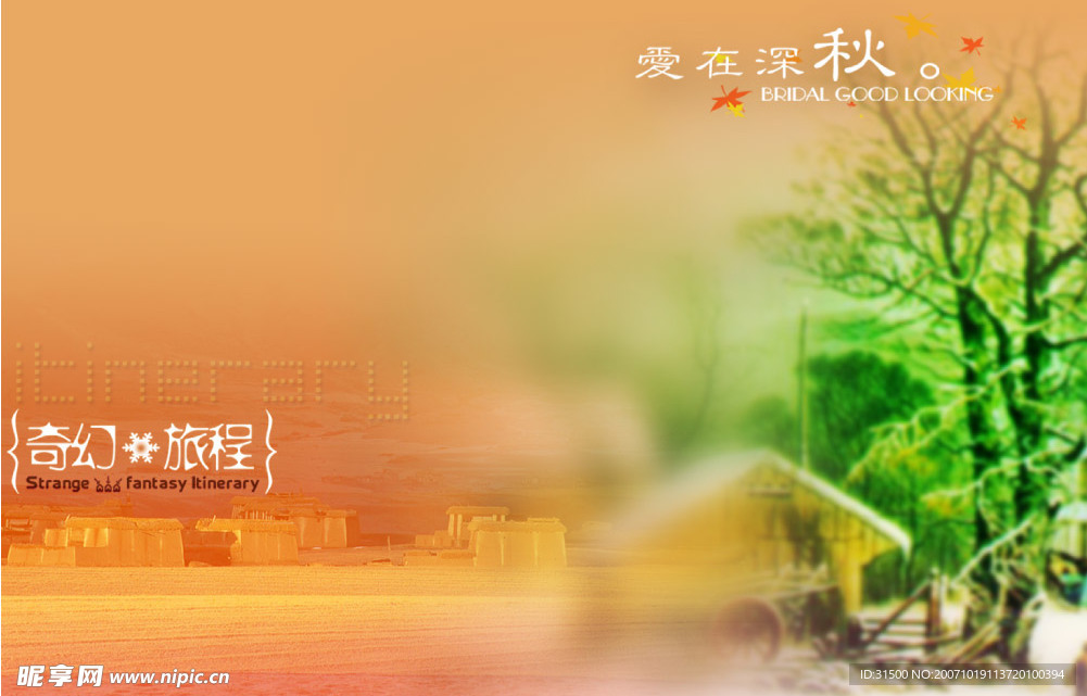 爱在深秋