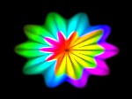 奇花  psd