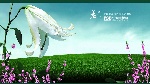 精品PSD源文件