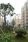城市小区一瞥
