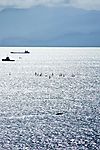 鹏海在沸腾