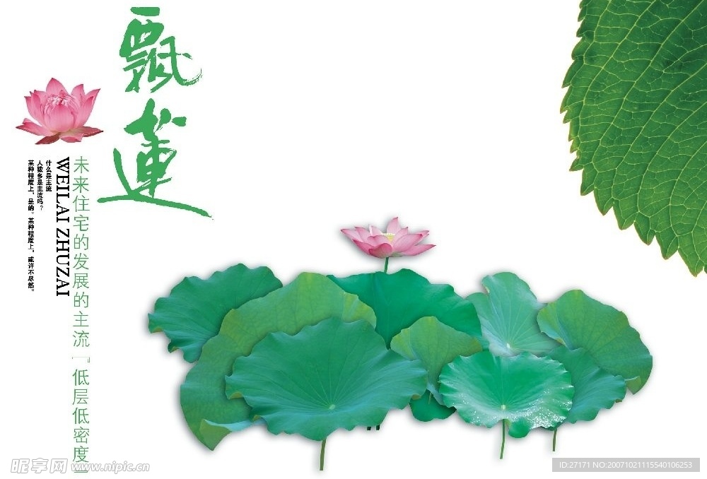 精品PSD分层图库