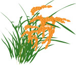 植物素材