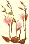花草素材