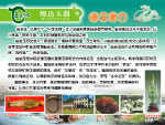 天下美玉出岫岩