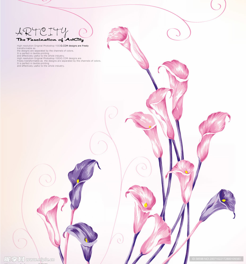 矢量 花纹