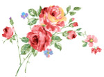 PSD花