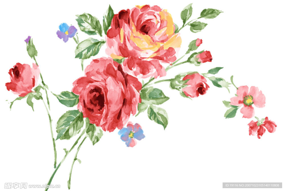 PSD花