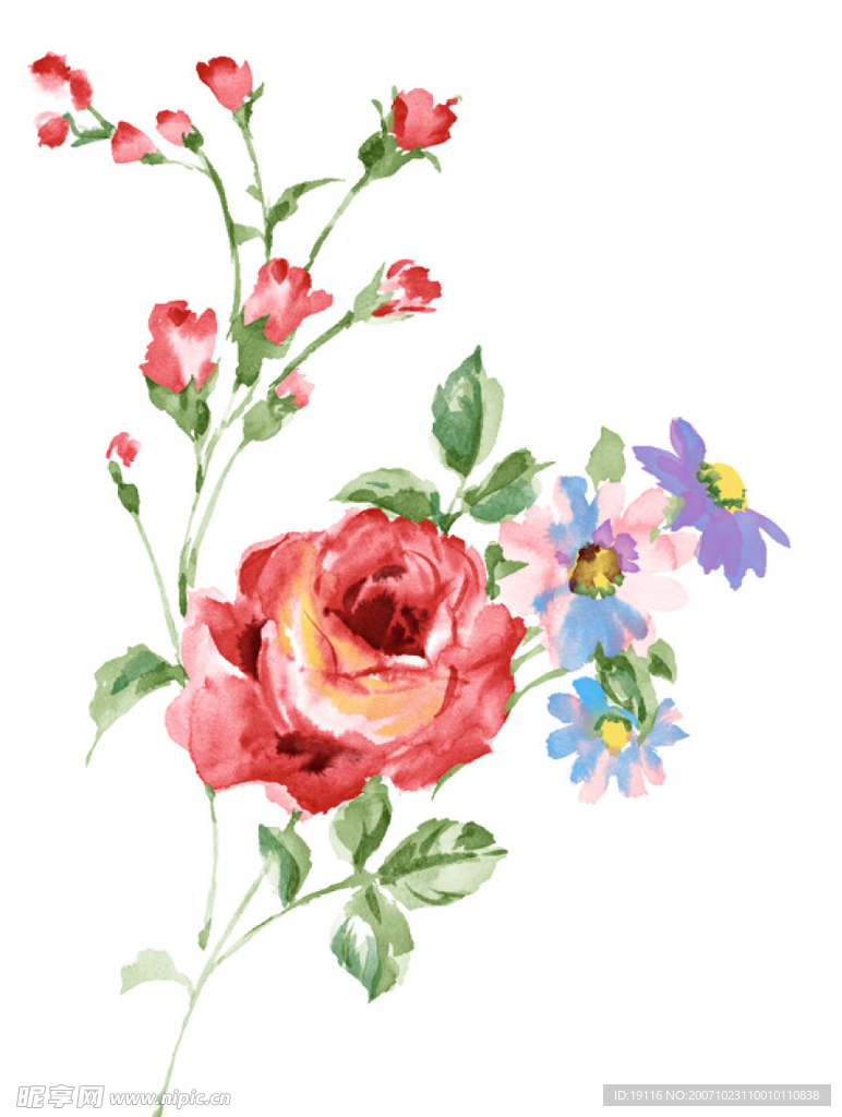 PSD花