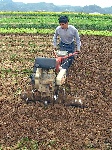 国家统计局局长：中国农村人口占总人口56%